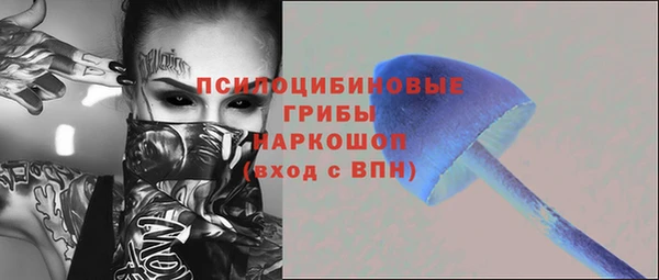 прущая мука Арсеньев